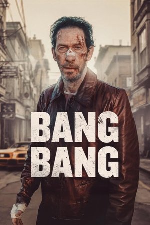 Bang Bang (2025) WEBRIP Hindi (MULTI AUDIO) 720p – 480p – 1080p