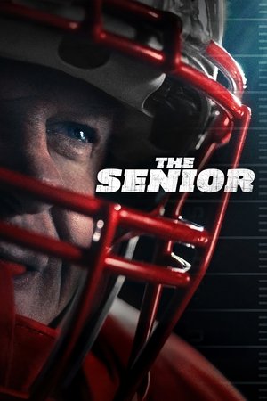 The Senior (2025) WEBRIP Hindi (MULTI AUDIO) 720p – 480p – 1080p